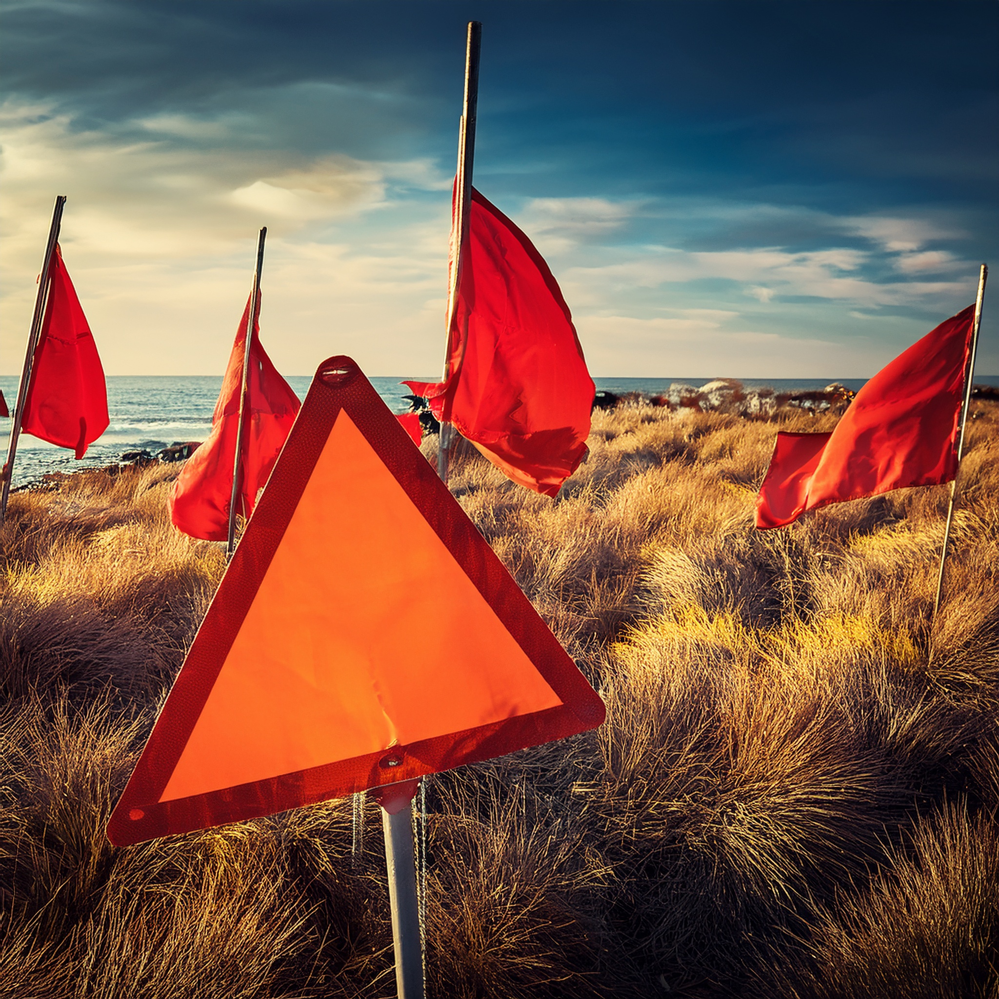 Warning Signs and Red Flags